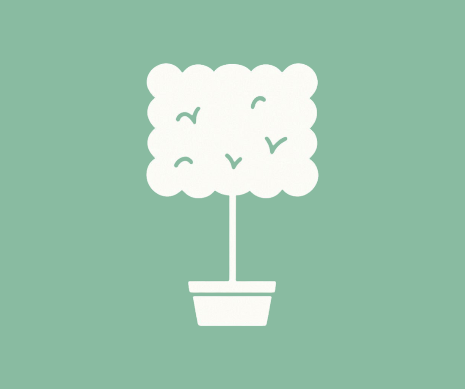 Pleached Trees